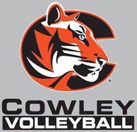 Decal Cowley Volleyball 5X5