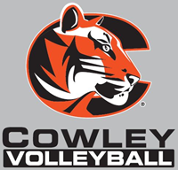 Potter Decals Cowley Volleyball 5x5 Decal