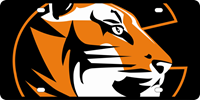 WinCraft Mega Tiger Logo License Plate