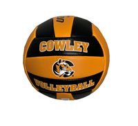 Baden 5" Cowley Tiger Logo Mini Leather Volleyball