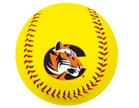 Baden Tiger Logo Official Size Softball