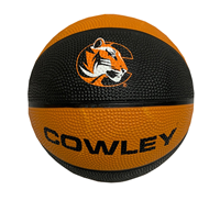 Baden 7" Cowley Tiger Logo Mini Basketball