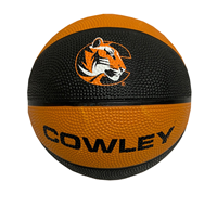 Ball Basketball Mini Cowley C Bla/Ora