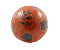 Spirit Products Tiger Logo Cowley Tigers 4" Nerf Soccer Ball