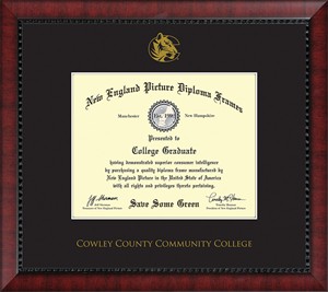 New England Picture Co Wood Graduation Diploma Frame