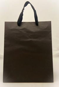 Prime Line Plain with Ribbon Handles Black Small Gift Bag