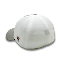 The Game Cowley 3D Arched Tiger Logo Grey & White Mesh Trucker Hat