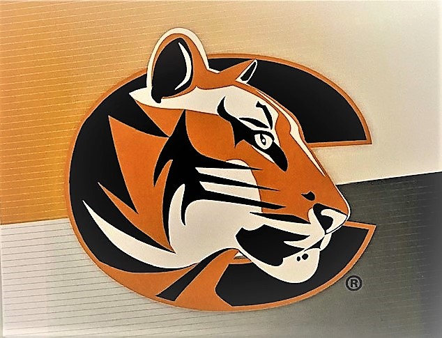 Fanatic Group Tiger Logo 10 Pack Notecard (SKU 1006221045)