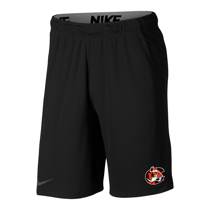 Nike Hype Tiger Logo Shorts (SKU 1010376028)