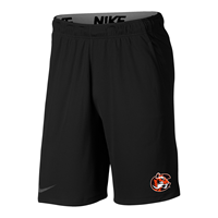 Nike Hype Tiger Logo Shorts