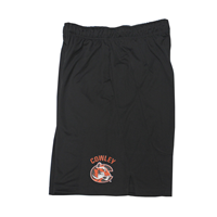 Nike Shorts Fly2.0 Cowley C