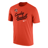 Nike Orange Tiger Logo Cowley Baseball Script T-shirt