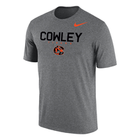 Nike Tshirt Cowley Tigers C Gray